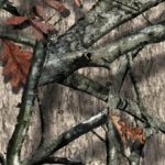 mossy-oak-treestand