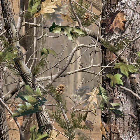 realtree-apg